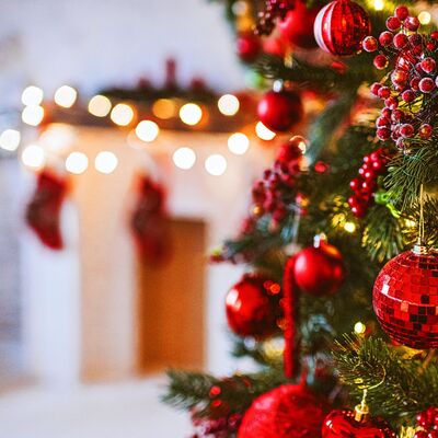 Villa dolandırıcıları iş başında!