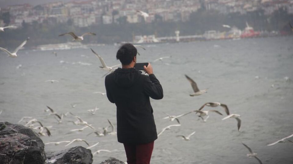 Kış değil sanki bahar!