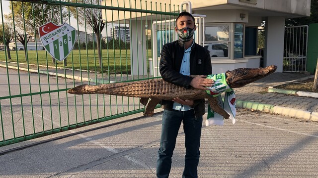 Taraftar, tesise timsah getirdi!