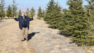 Bozkırın ortasında küçük bir orman yaptı