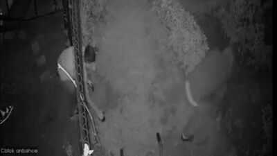 İstanbul'da 20 evi soydu! Katil hırsızda sıcak gelişme!