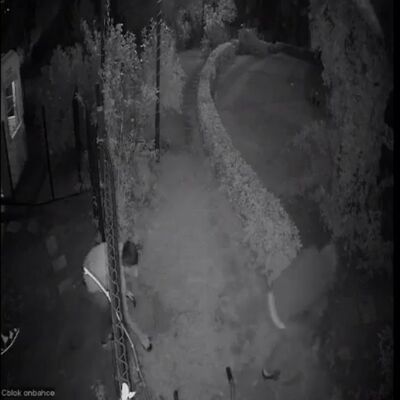 İstanbul'da 20 evi soydu! Katil hırsızda sıcak gelişme!