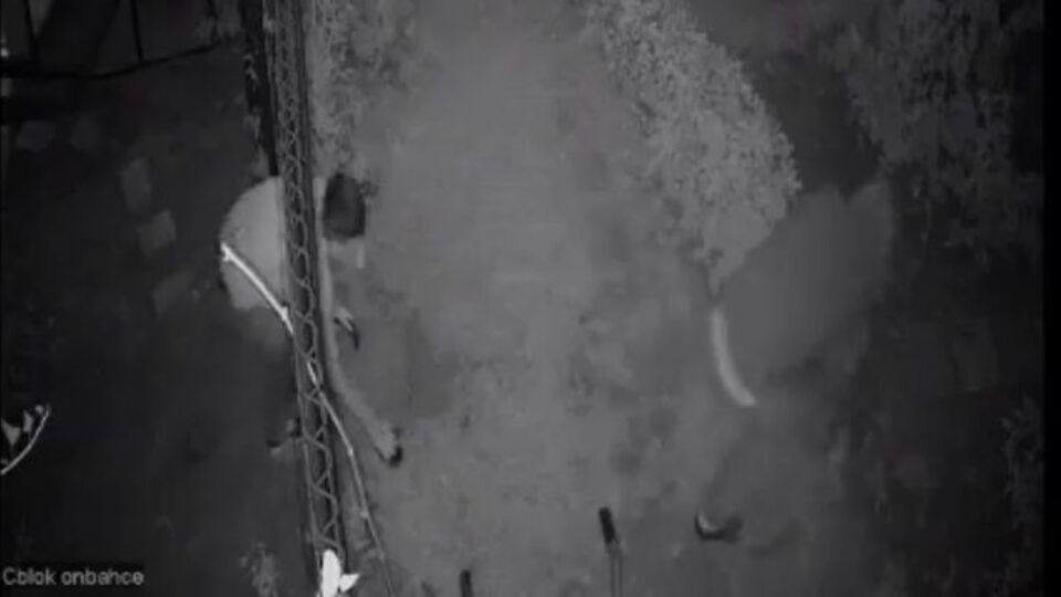 İstanbul'da 20 evi soydu! Katil hırsızda sıcak gelişme!