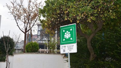 Elazığ Acil Toplanma Alanı sorgulama