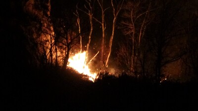 Ordu'da korkutan orman yangını!