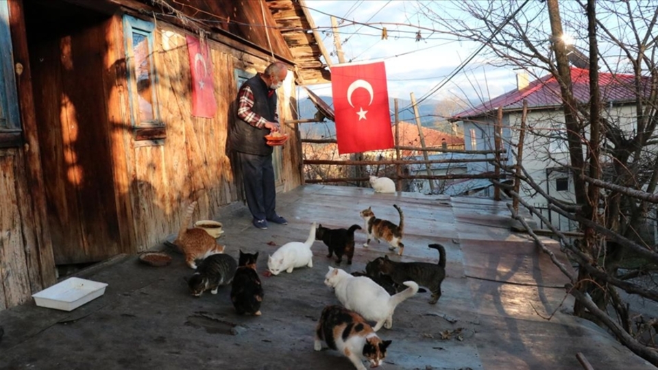 Sokak hayvanları için her gün 10 kilometre yürüyor