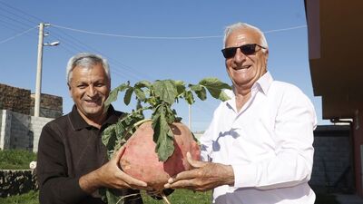 Bahçesinde yetiştirdi... Şaşkınlık yarattı