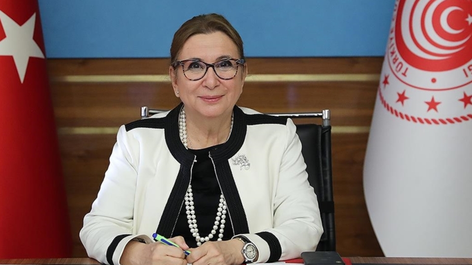 Bakan Pekcan'dan 'Serbest Ticaret Anlaşması' açıklaması