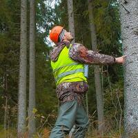 Tarım ve Orman Bakanlığı 826 işçi alımı ne zaman?