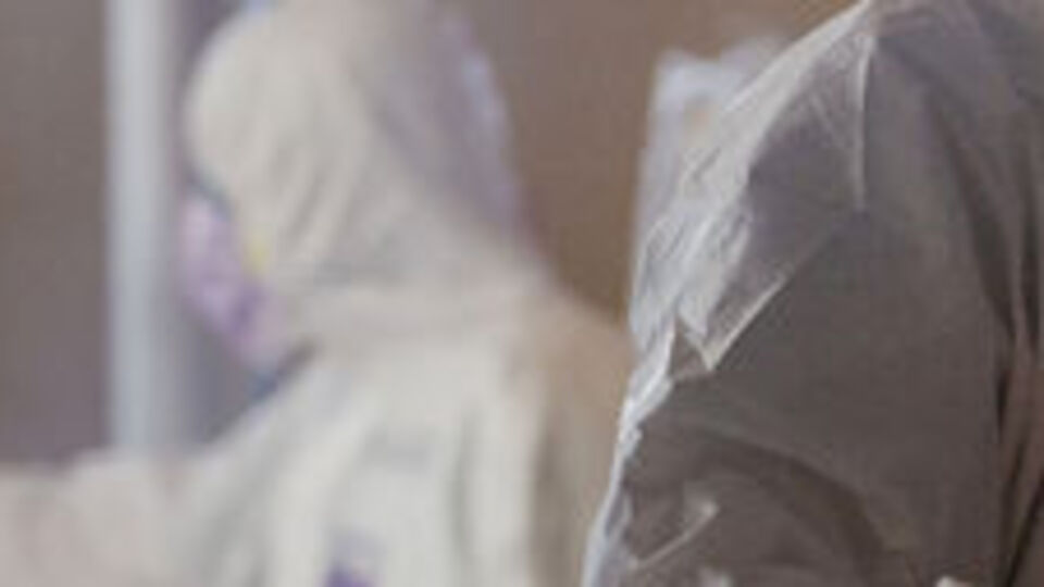 Mutasyon ile bağışıklık oranı değişti