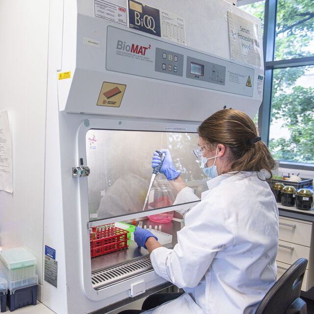 İngiltere'den AstraZeneca-Oxford aşısına onay!