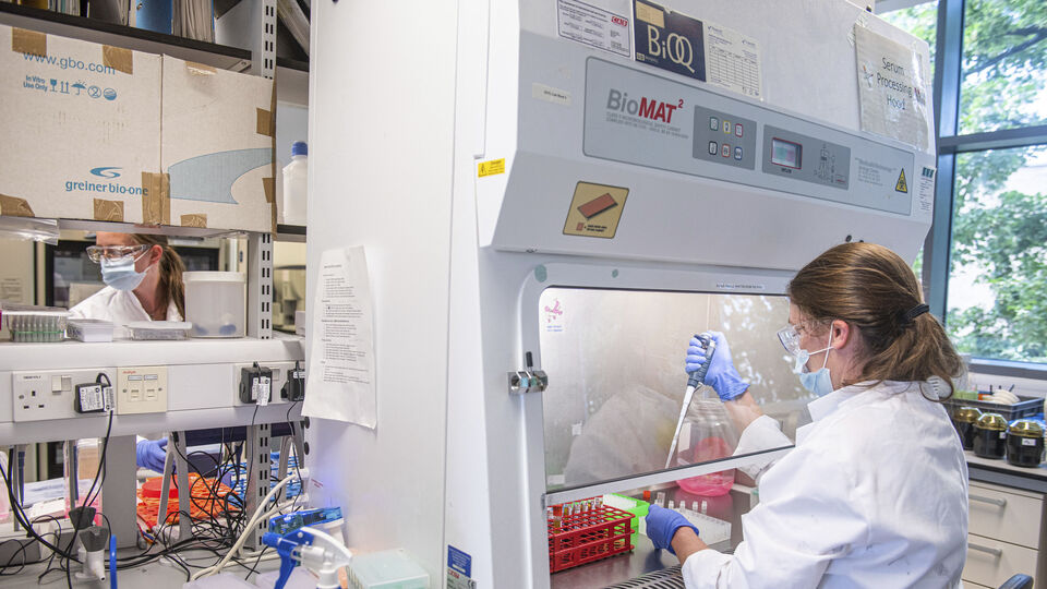 İngiltere'den AstraZeneca-Oxford aşısına onay!