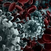 Pandemi gölgesinde bir yıl: 2020