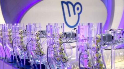 Milli Piyango açıklanıyor! İşte sonuçlar