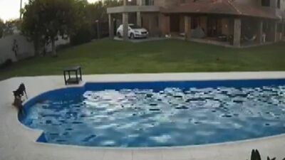 Yürekleri ısıtan görüntü... İmdadına böyle yetişti