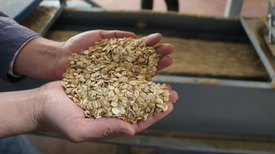 Yeni fabrikalarda üretim başladı