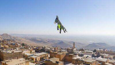 3 boyutlu 'kadrolu eşek' uçurtmaları, Mardin semalarında
