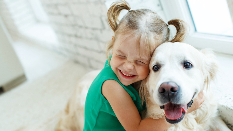 Evcil hayvanlar sevgi ve şefkati öğretir
