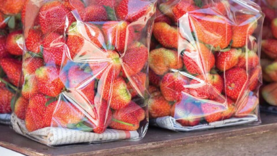 Gıdaların ömrünü uzattılar