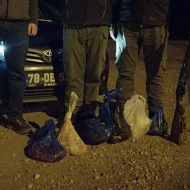 Karaca avına 20 bin lira ceza
