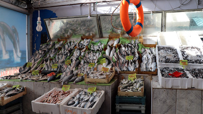 'Balon balığından ölüm' iddiasına soruşturma