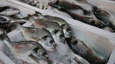 Su ürünleri ihracatında tarihi rakam