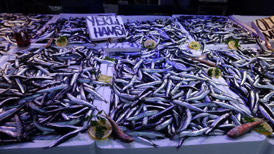 Hamsinin kurtulması için tepki çeken öneri!