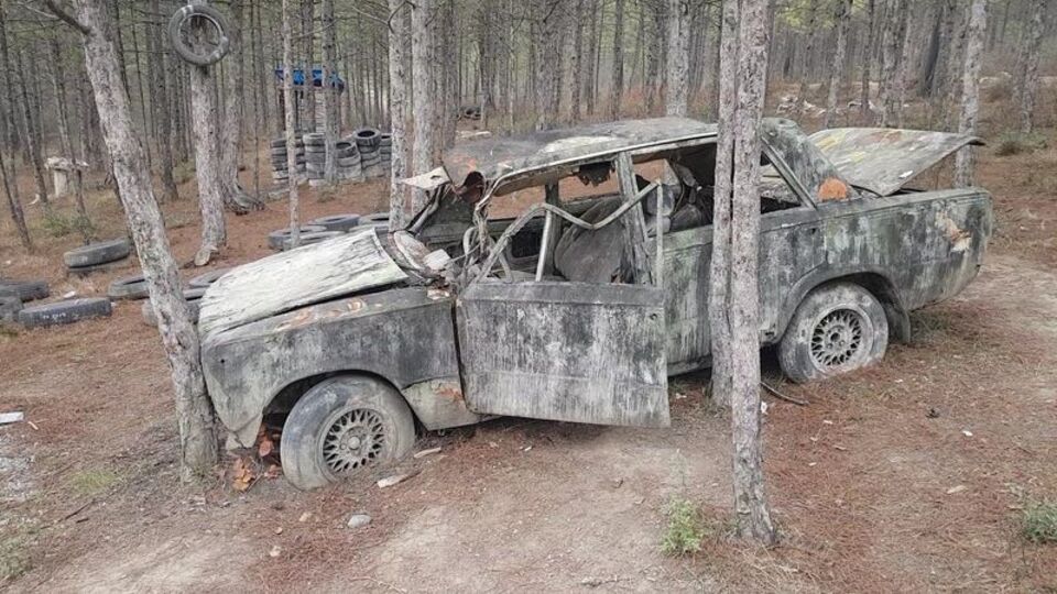 Kent ormanı talan edildi