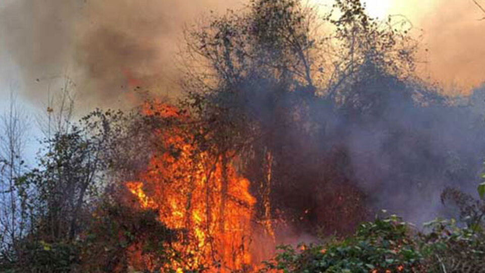 4 ilde, 23 noktada yangın! Ekipler müdahale ediyor