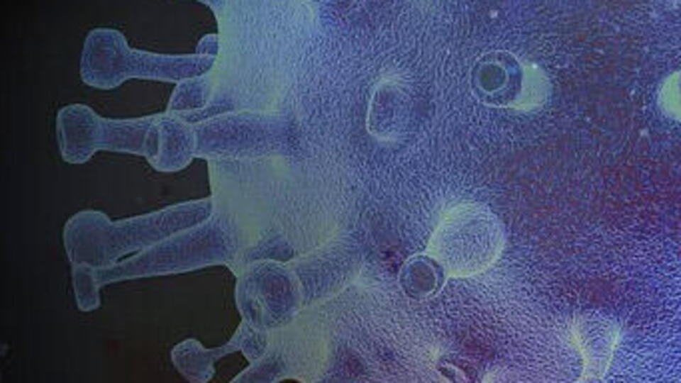 Corona virüs belirtileri nelerdir?