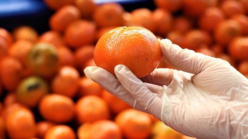 Turunçgilden 933 milyon dolarlık gelir