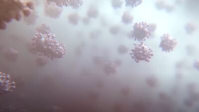 Vücudumuzun gizli savaşçıları: Akyuvarlar