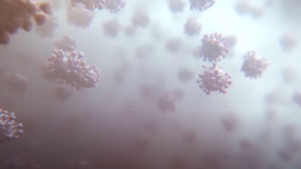 Vücudumuzun gizli savaşçıları: Akyuvarlar