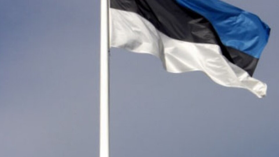 Estonya'da "Rusya'yla birleşme referandumu" krizi