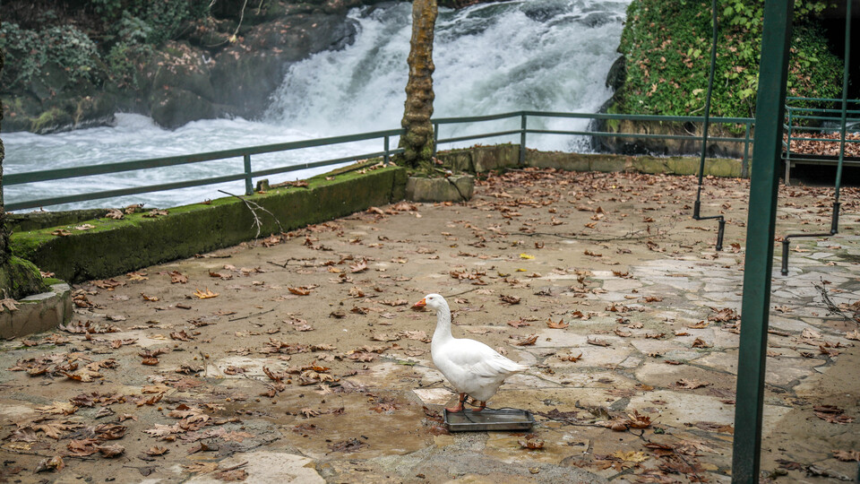 Düden suyunda korkutan gelişme!