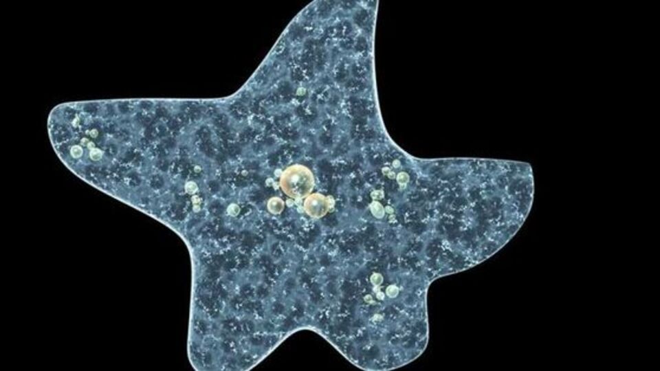 Sizde de bu olabilir! İşte belirtileri