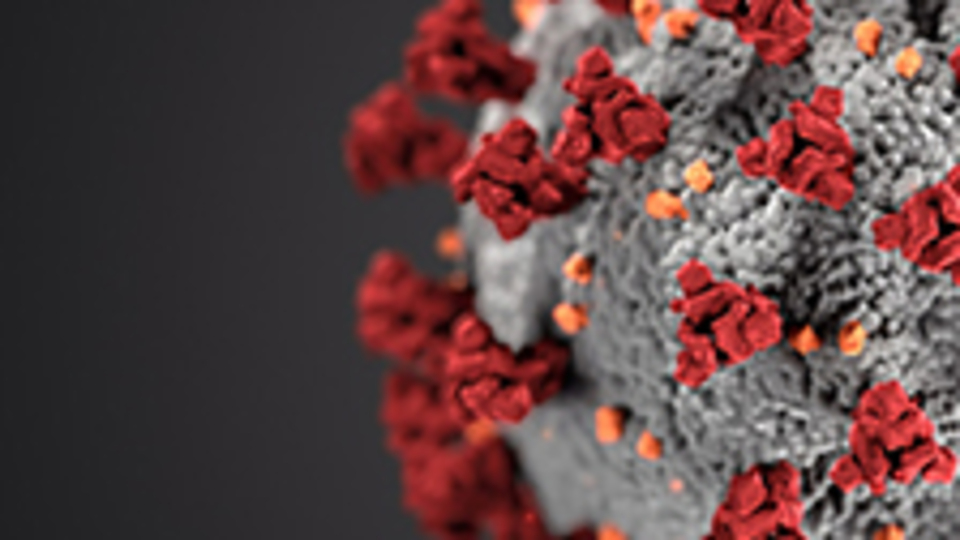 Corona virüs belirtileri nelerdir?