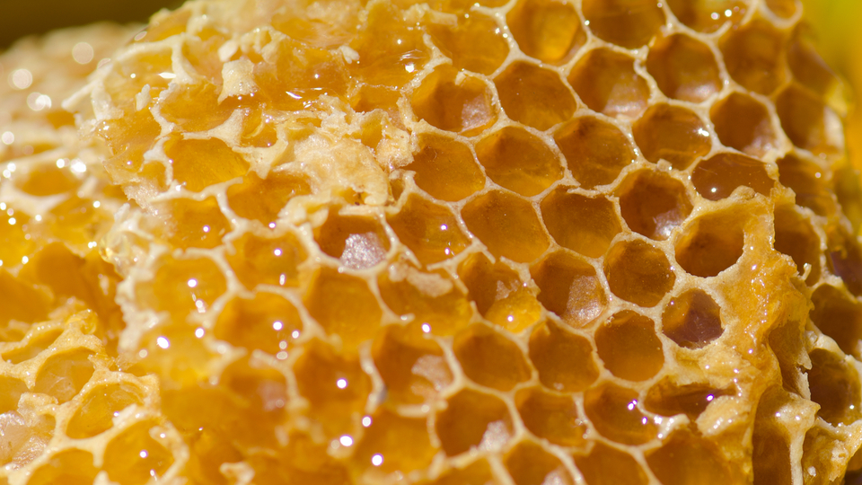 Bu bala dikkat! Fazla yiyeni hastanelik ediyor