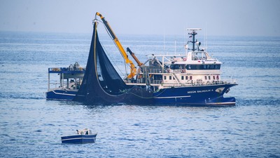 Hamsi yasağı uzatıldı