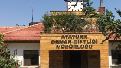 AOÇ, depo olarak kullanılan taşınmazını yeniden kiraya verecek