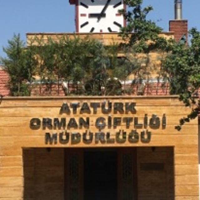 AOÇ, depo olarak kullanılan taşınmazını yeniden kiraya verecek