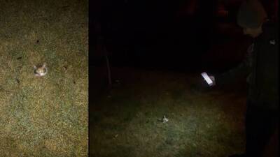 Kan donduran vahşet! Kafasını kestiler