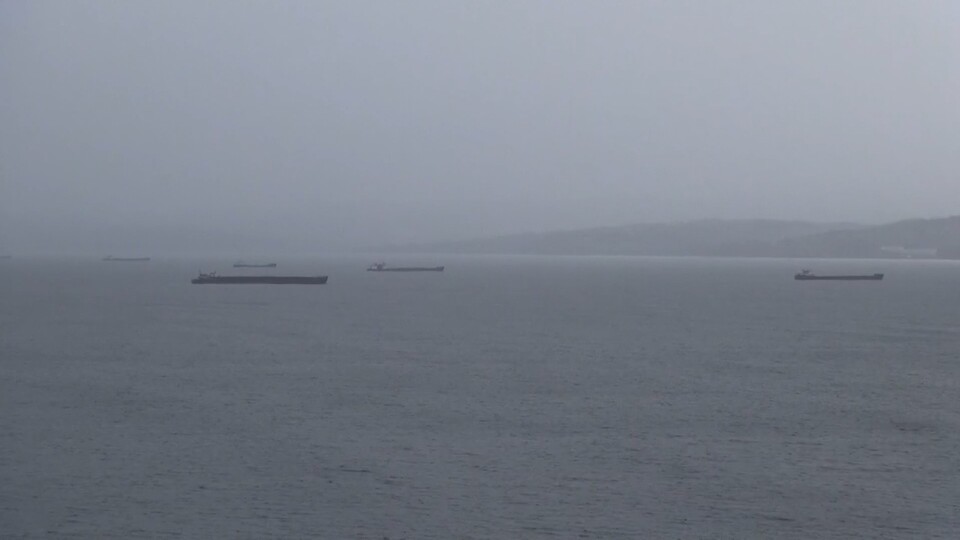 Fırtınadan kaçan gemiler Sinop'taki limana sığındı