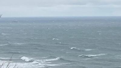 Bartın'da kuru yük gemisi battı!