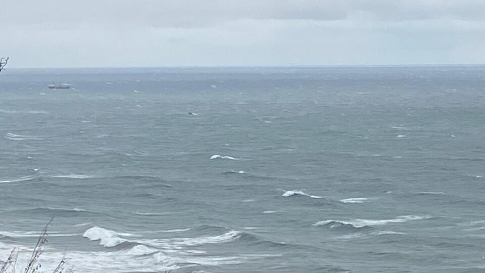 Bartın'da kuru yük gemisi battı!