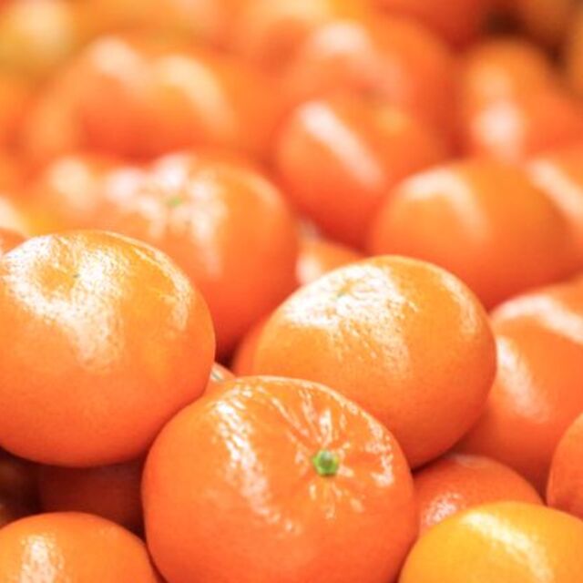 Narenciye ihracatını mandalina sırtladı