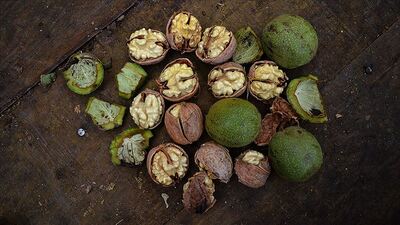 Nelere iyi geldiğine inanamayacaksınız!