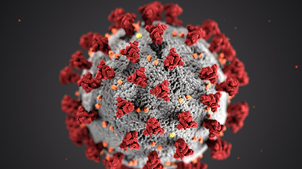 Corona virüs belirtileri nelerdir?