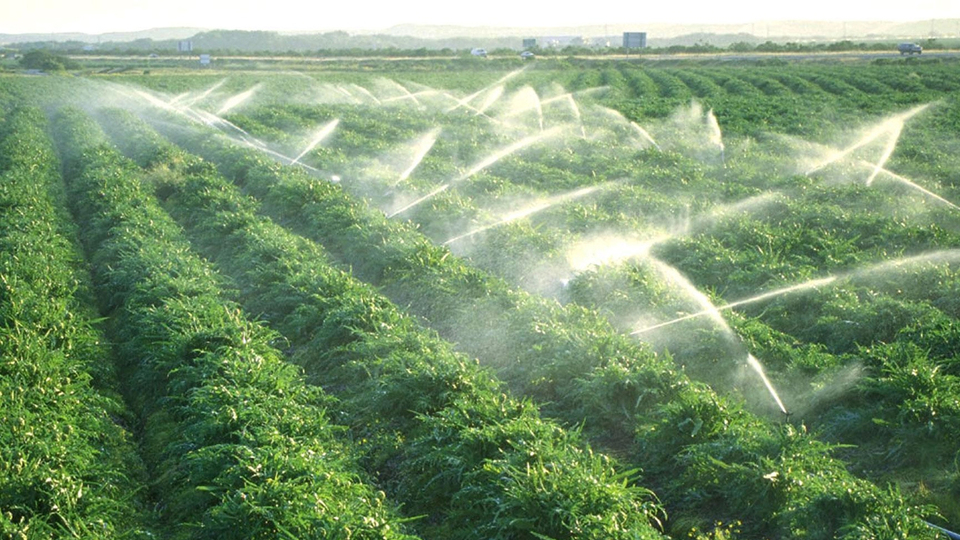 Tarımsal sulamaya 8.5 milyar TL kaynak