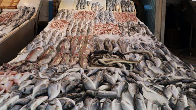 Balıkta boya ve ağırlık hilesi!